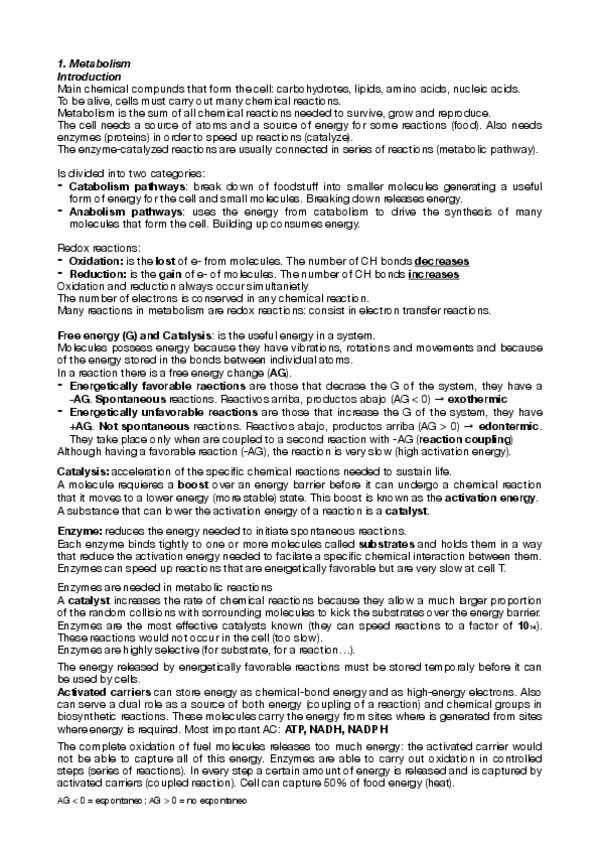 Miniatura del documento Summary-Catabolism.pdf