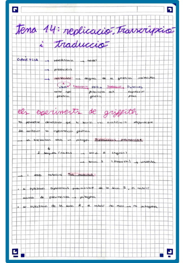 Miniatura del documento Repl-Trans-Trad.pdf