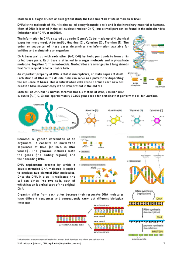 Miniatura del documento Summary-Molecular-Biology-Central-Dogma.pdf