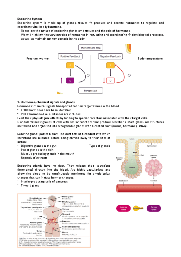 Miniatura del documento Introduction-to-Physiology-Ana.pdf