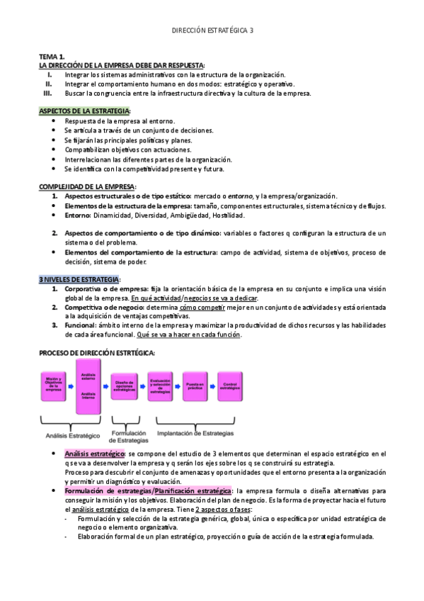Miniatura del documento RESUMEN-DIRECCION-ESTRATEGICA.pdf