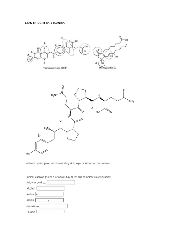 Miniatura del documento EXAMEN-QUIMICA-ORGANICA.pdf