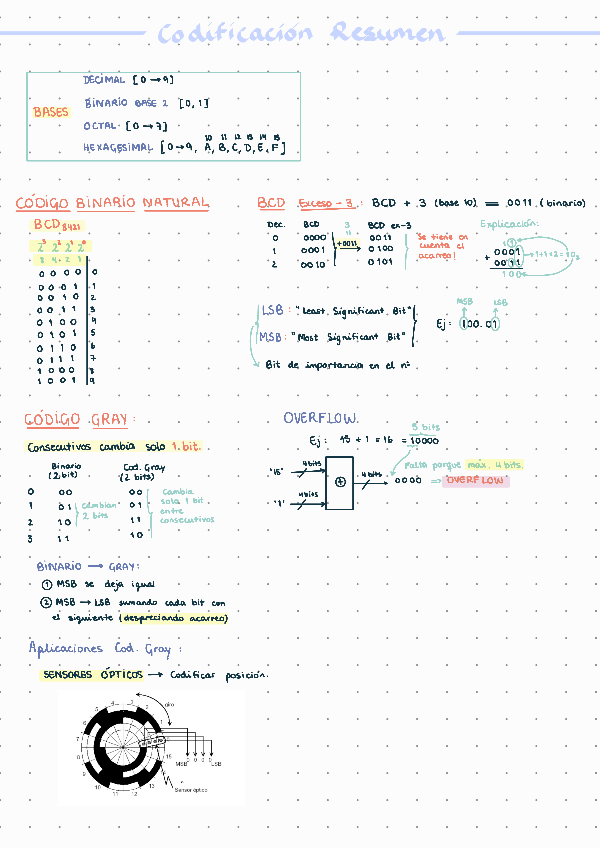 Miniatura del documento Resumen230711193943.pdf