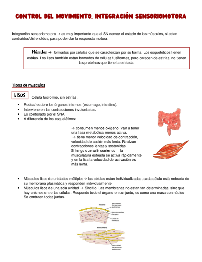 Miniatura del documento Control-del-Movimiento-Integracion-SS.pdf