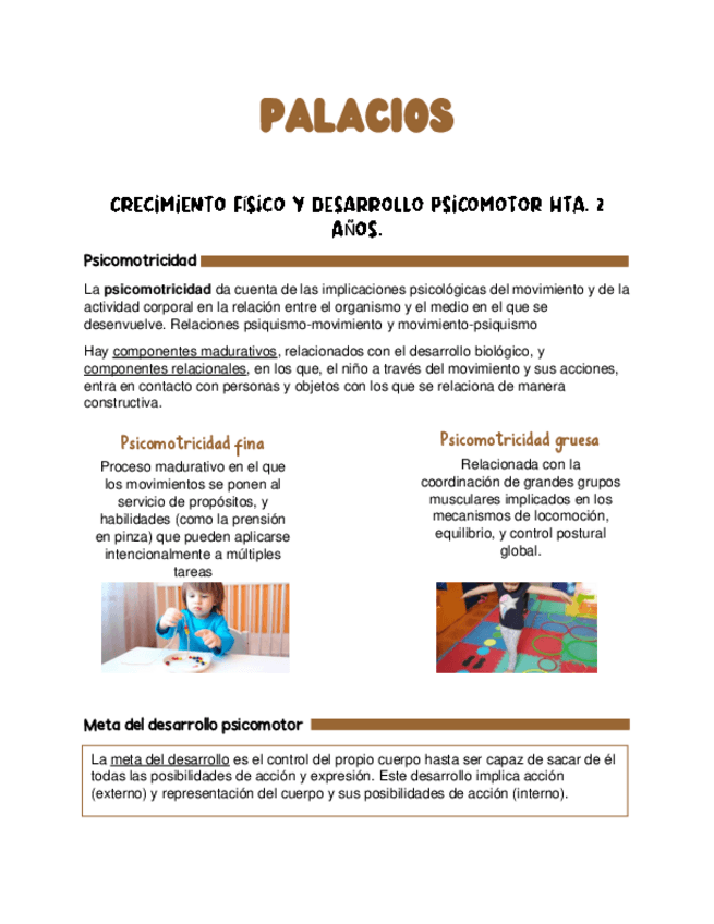 Miniatura del documento Palacios-y-mora.pdf