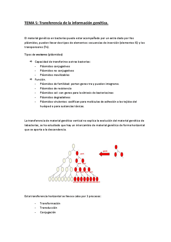 Miniatura del documento 05_TRANSFERENCIA_DE_LA_INFORMACION_GENETICA.pdf
