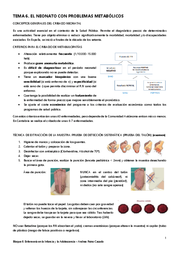 Miniatura del documento Tema-6.-El-neonato-con-problemas-metabolicos.pdf