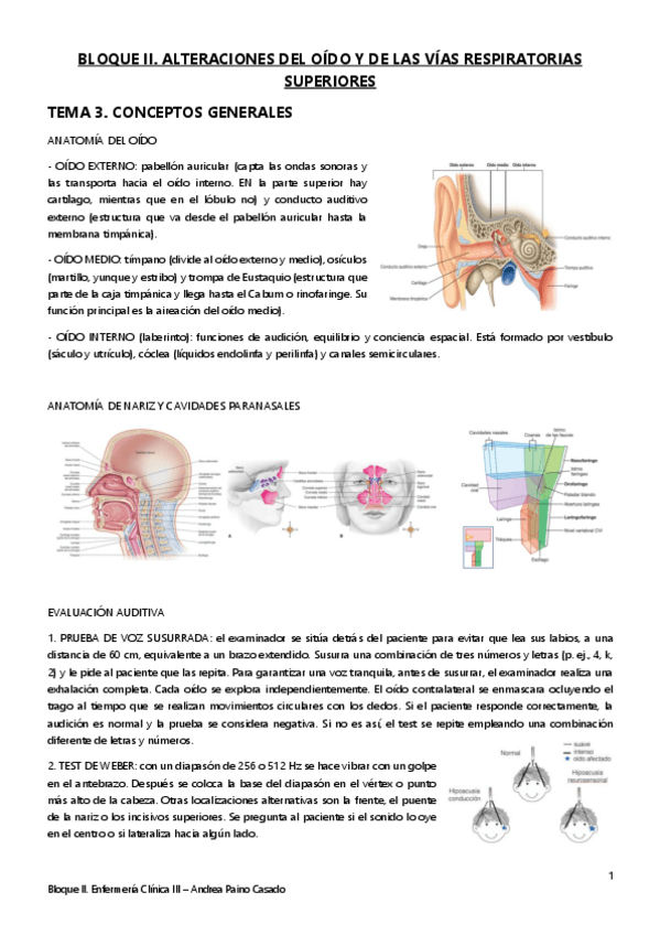 Miniatura del documento Tema-3.-Conceptos-generales.pdf