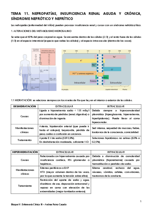 Miniatura del documento Tema-11.-Nefropatias-IR-Sd-nefrotico-y-nefritico.pdf