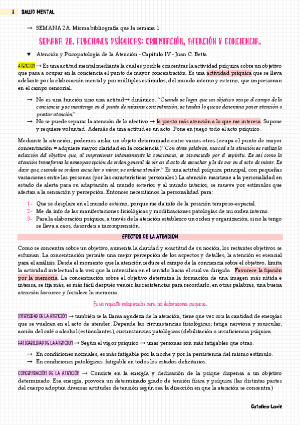 Miniatura del documento Orientacion-atencion-y-conciencia.-semana-2.pdf