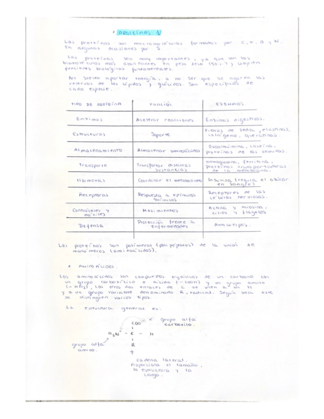 Miniatura del documento 3.-Proteinas-1.pdf