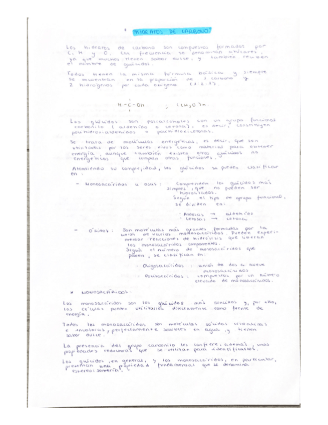 Miniatura del documento 2.-Hidratos-de-carbono.pdf
