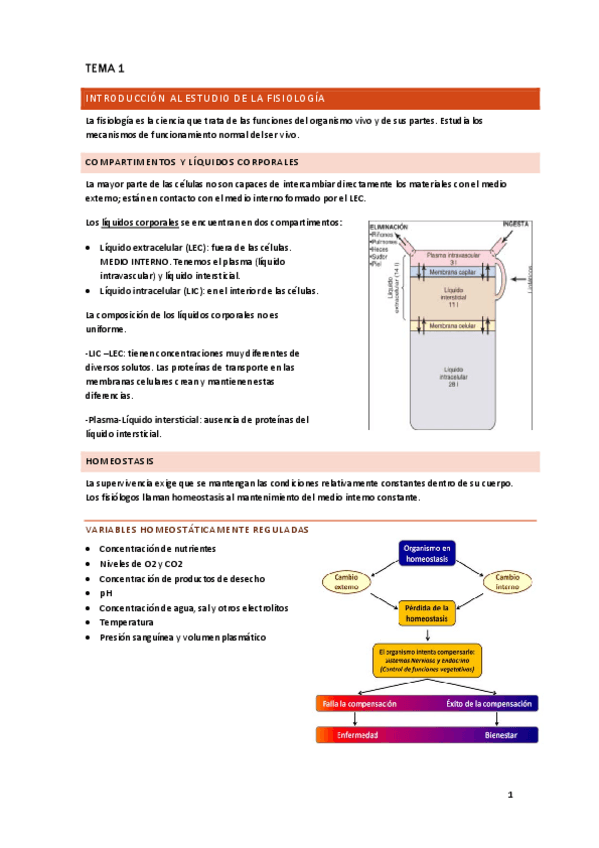Miniatura del documento 1oPARCIAL.pdf