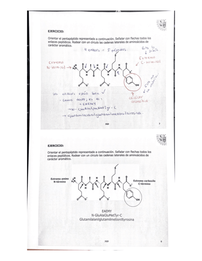 Miniatura del documento tema-4.-Proteinas-2.pdf