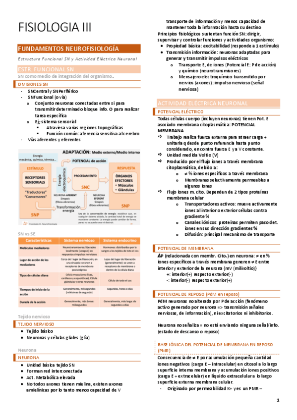 Miniatura del documento FISIOLOGIA-III.pdf