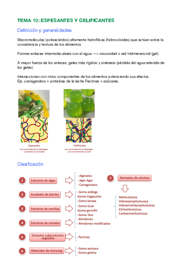 Miniatura del documento Tema-10.pdf