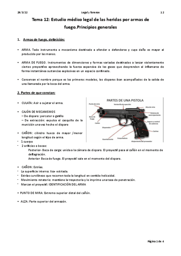 Miniatura del documento TEMA-17.-Principios-generales-armas-de-fuego.pdf