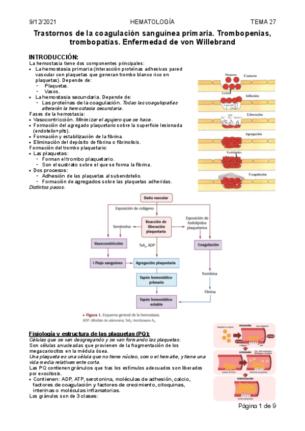 Miniatura del documento 27.-coagulacion-primaria.pdf