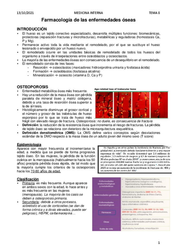 Miniatura del documento Tema-8.-Farmacologia-de-las-enfermedades-oseas.pdf