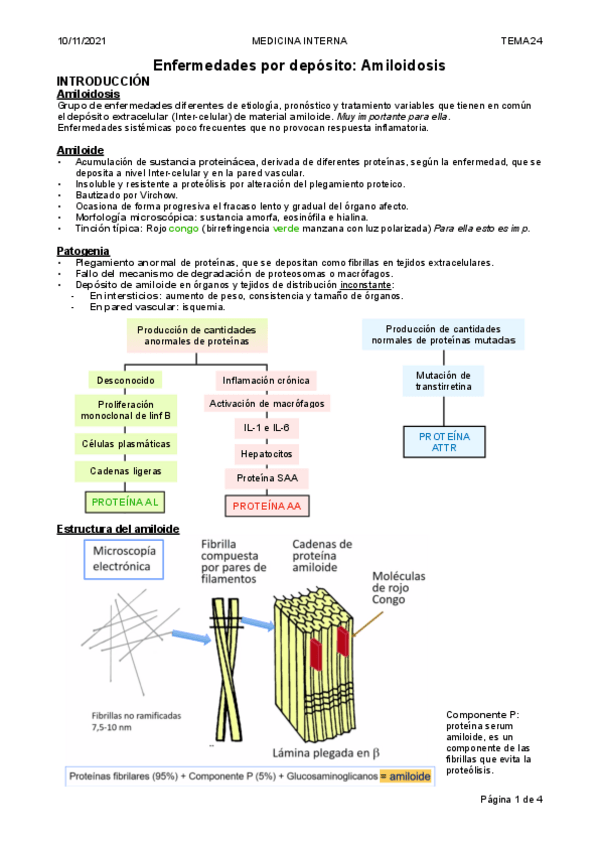 Miniatura del documento Tema-24.-Enf-por-deposito-de-amiloide.pdf