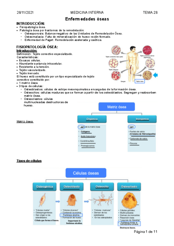Miniatura del documento Tema-28-Enfermedades-oseas.pdf