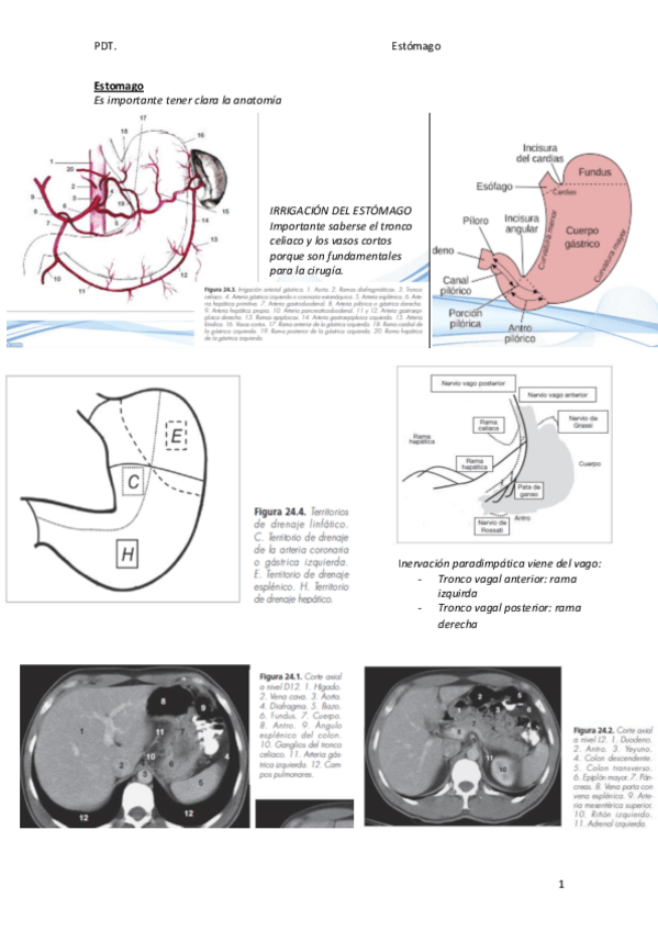 Miniatura del documento Gastrico.pdf