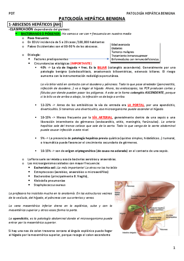 Miniatura del documento PATOLOGIA-HEPATICA-BENIGNA.pdf