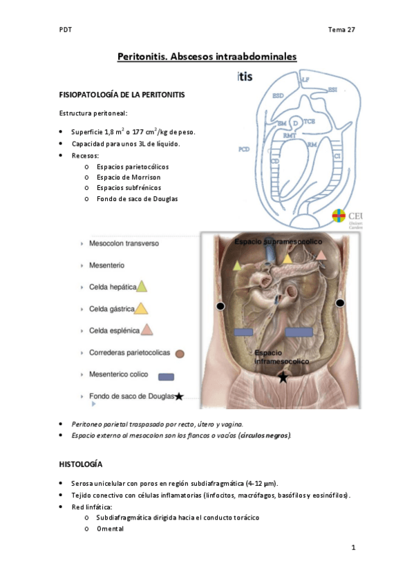 Miniatura del documento Tema-27-PDT.-Peritonitis.pdf