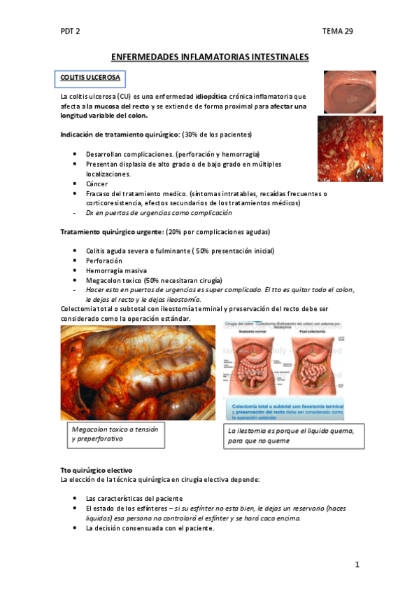 Miniatura del documento TEMA-29-ENFERMEDADES-INFLAMATORIAS-INTESTINALES.pdf