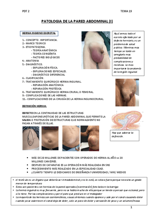 Miniatura del documento tema-19-PATOLOGIA-DE-LA-PARED-ABDOMINAL.pdf