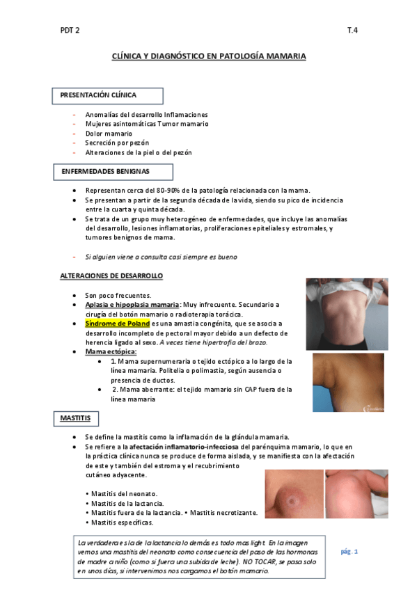 Miniatura del documento TEMA-4-Clinica-y-diagnostico-en-patologia-mamaria.pdf