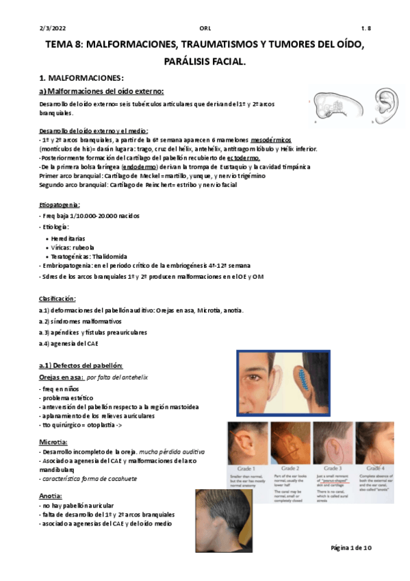 Miniatura del documento tema-8-ORL.pdf