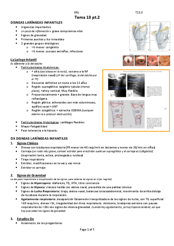 Miniatura del documento Tema-13-parte-2.pdf