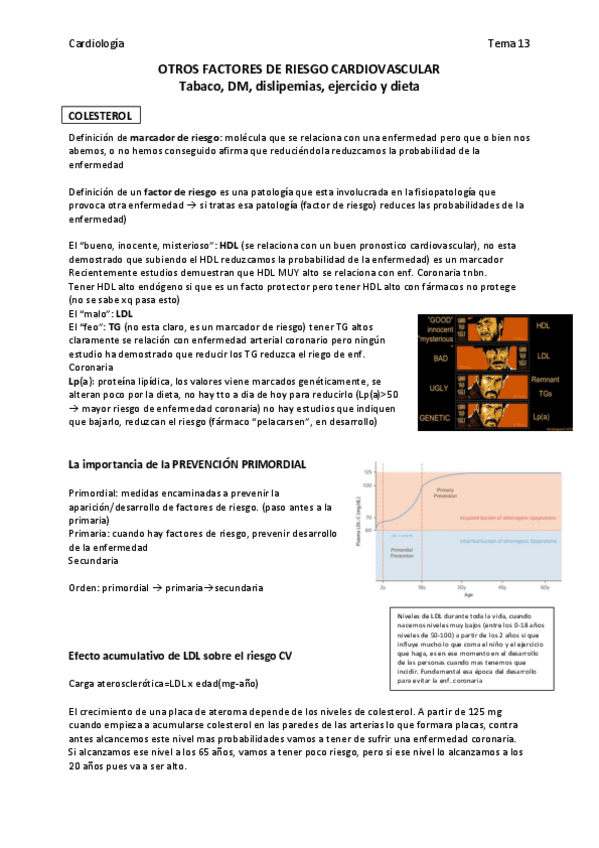 Miniatura del documento TEMA-13-OTROS-FACTORES-DE-RIESGO-CARDIOVASCULAR.pdf