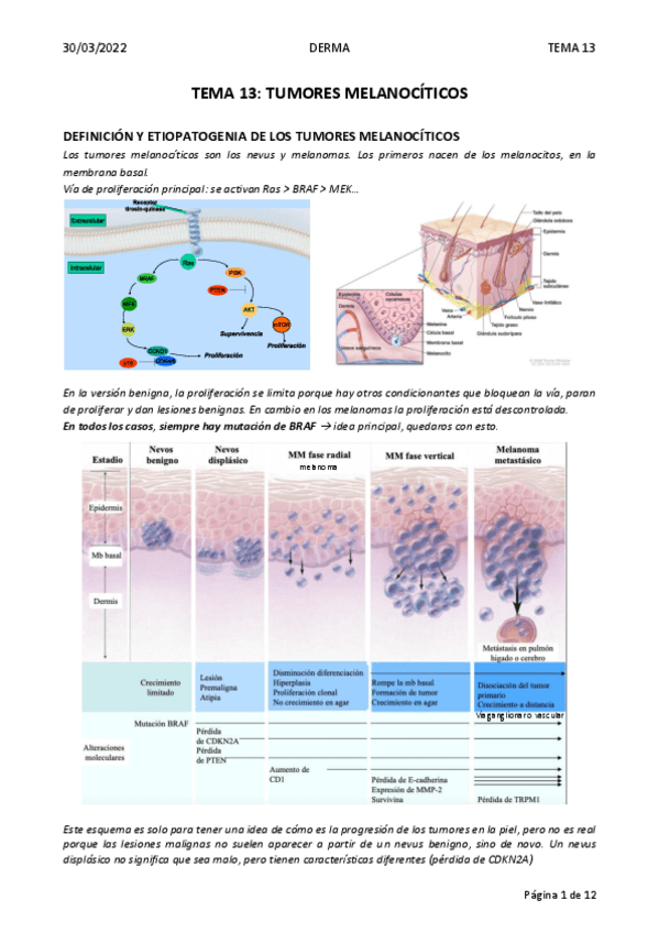 Miniatura del documento TEMA-13.pdf