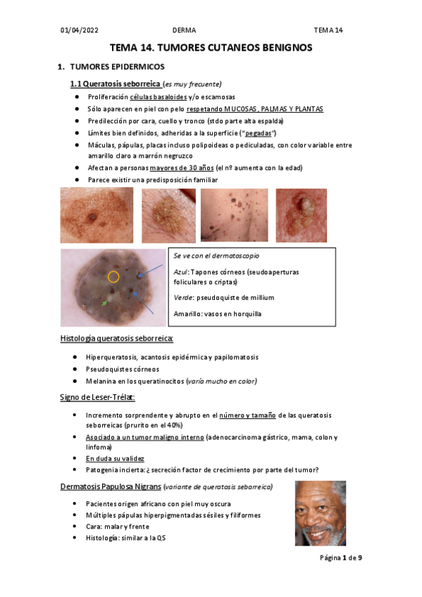 Miniatura del documento TEMA-14.pdf