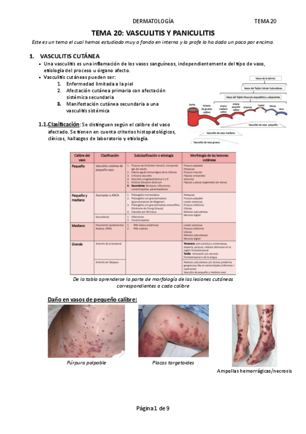 Miniatura del documento Tema-20-Vasculitis-y-paniculitis.pdf