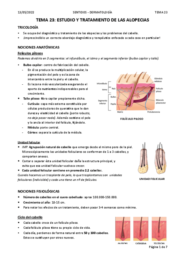 Miniatura del documento TEMA-23.-ALOPECIAS.pdf