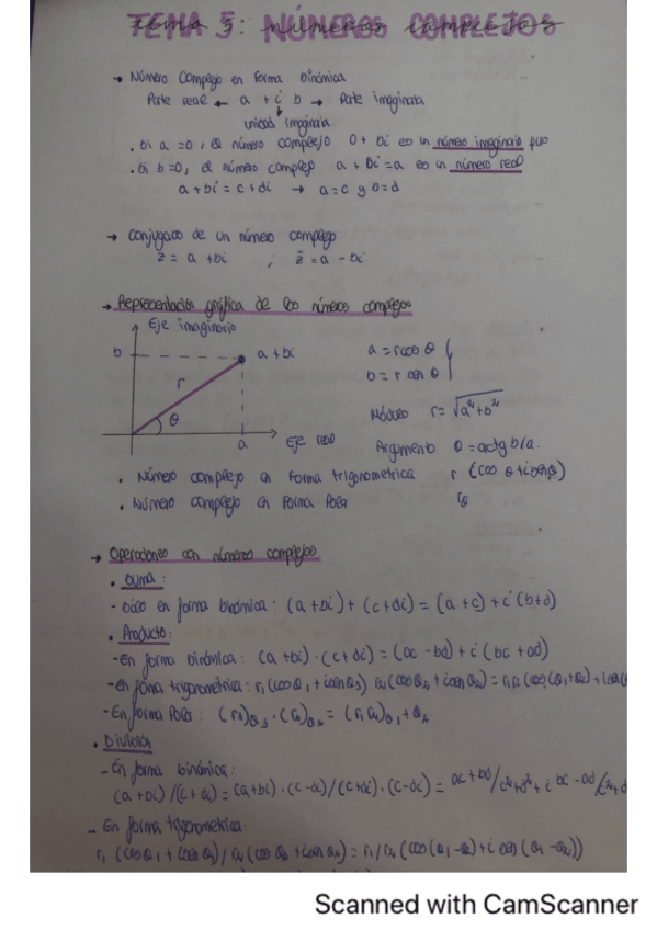 Miniatura del documento esquema-resumen-numeros-complejos.pdf