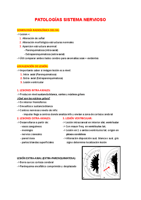 Miniatura del documento Anatomia-Patologias-Sistema-Nervioso.pdf