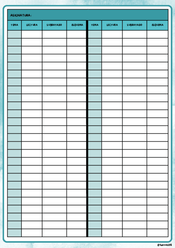 Miniatura del documento Plantilla-Estudio-Organizativa.pdf