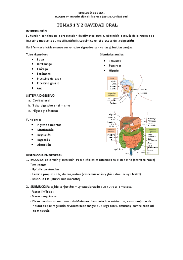 Miniatura del documento Temas-1-Y-2-Cavidad-oral.pdf