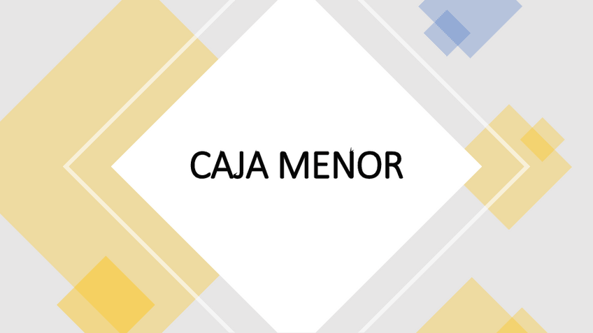 Miniatura del documento caja-menor.pdf