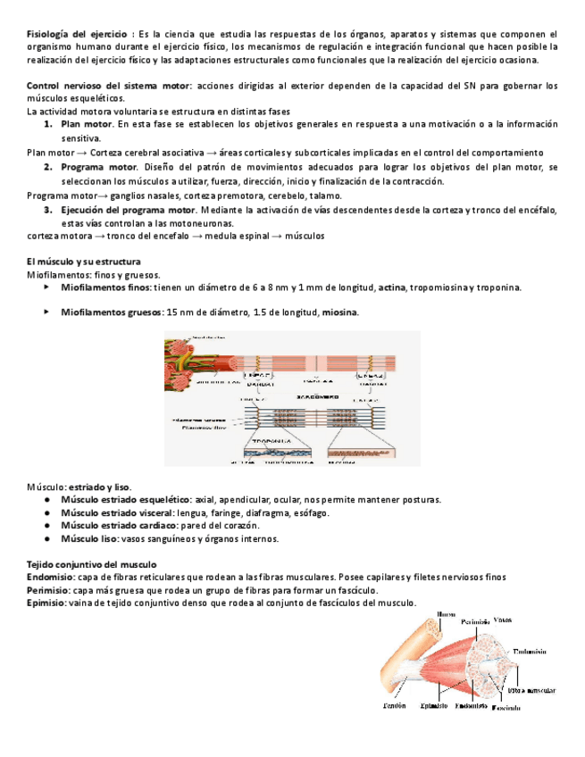 Miniatura del documento Guia-de-Fisiologia-del-ejercicio.pdf