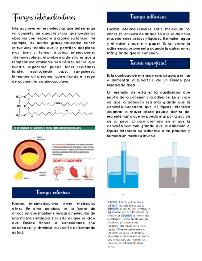 Miniatura del documento Clase-5-Fuerzas-intermoleculares-inter-e-intra.pdf