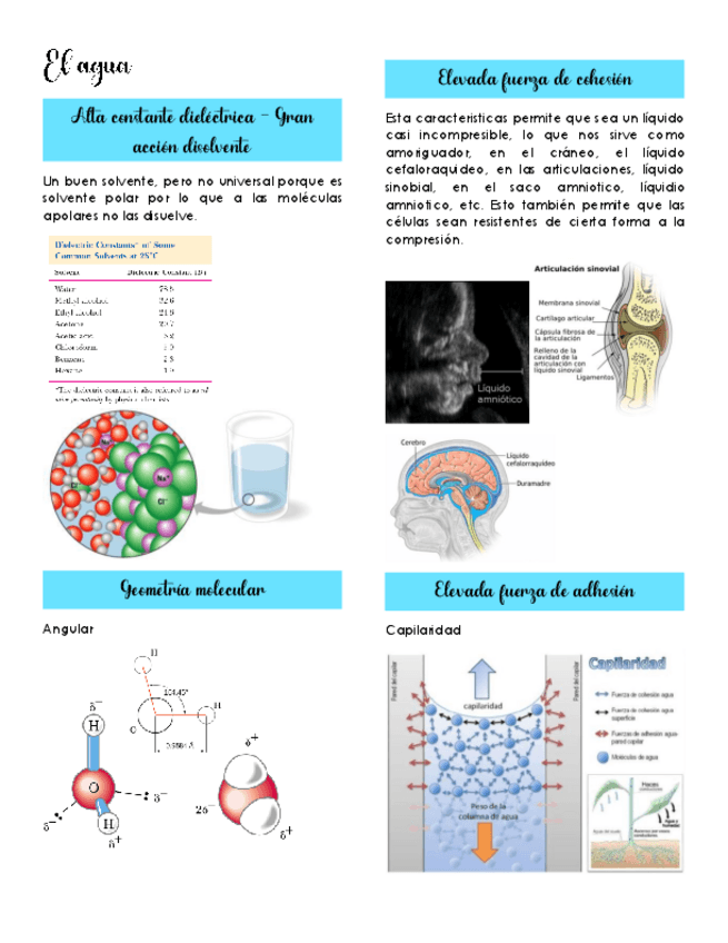Miniatura del documento Clase-6-7-Agua.pdf