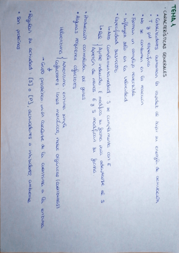 Miniatura del documento 1PP-Resumenes.pdf