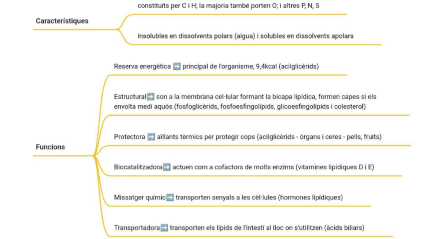 Miniatura del documento Lipids-biomolecules-organiques.pdf