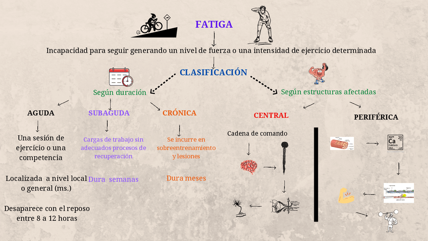 Miniatura del documento Fatiga.pdf