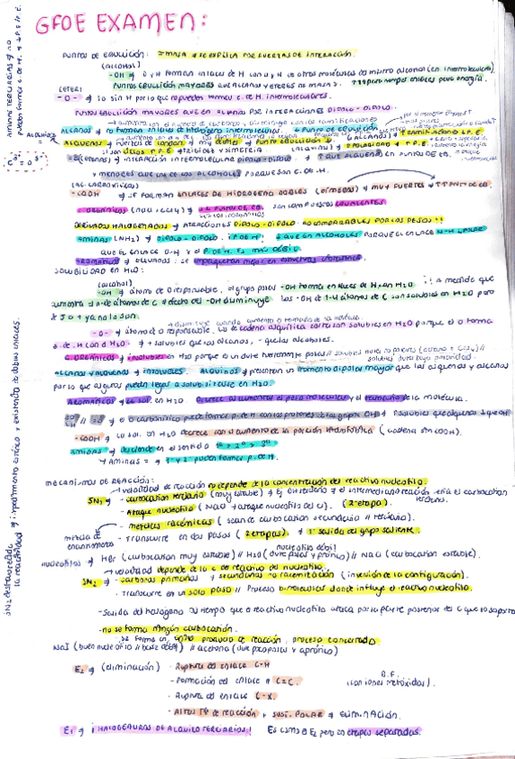 Miniatura del documento Conceptos-para-examen.pdf